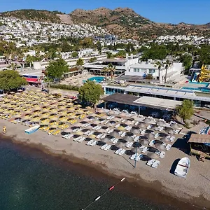 check availability